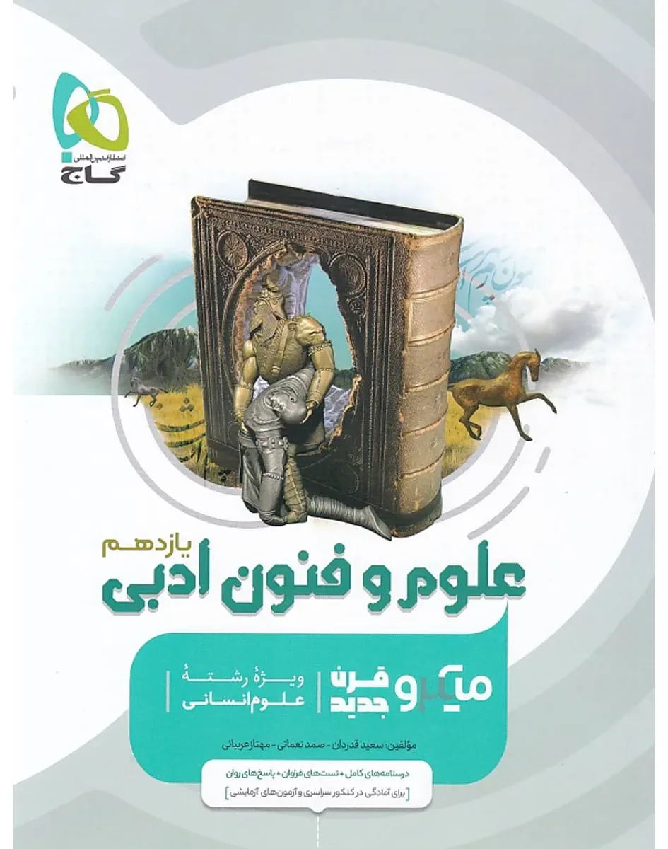 علوم و فنون ادبی یازدهم انسانی سری میکرو طبقه بندی گاج