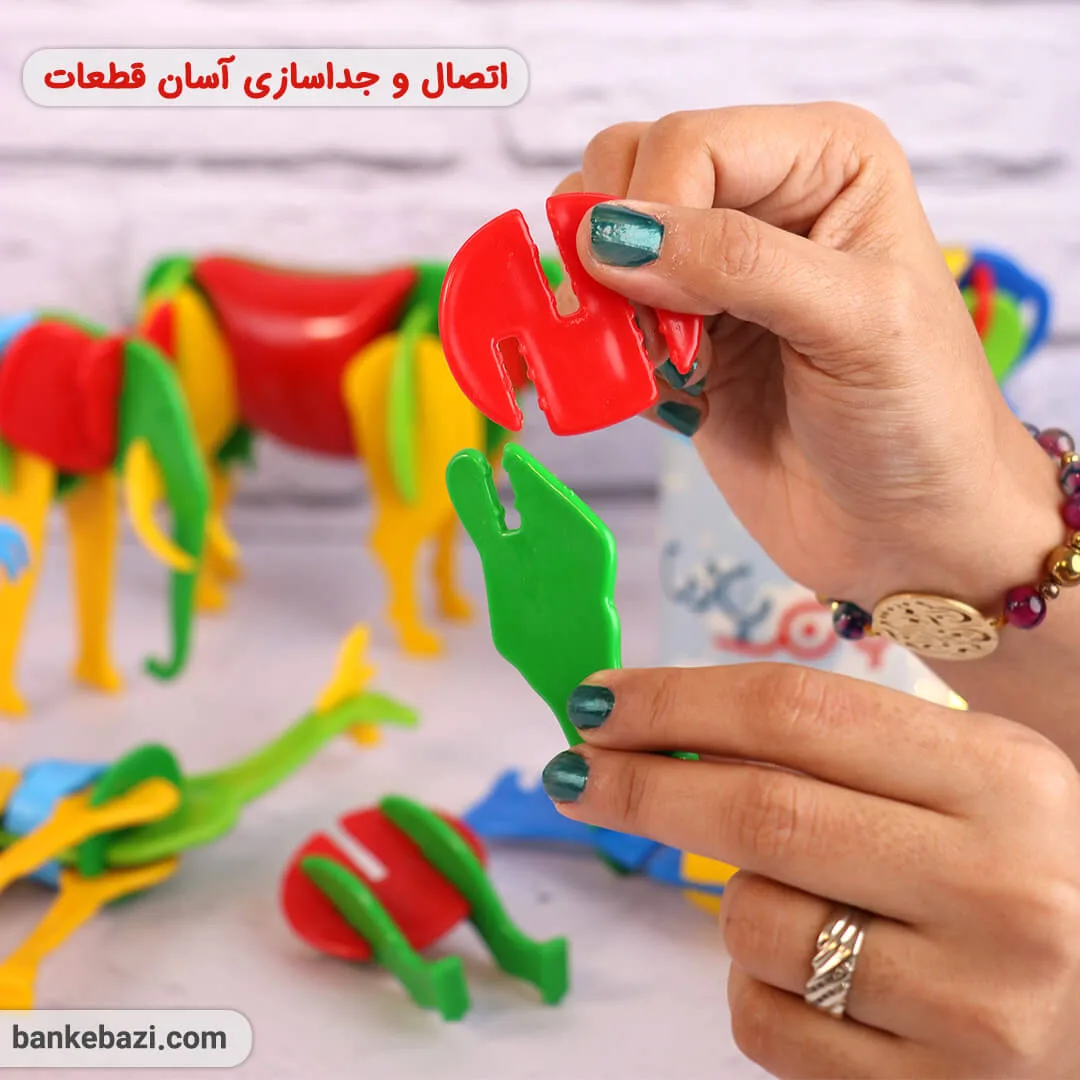ساز و باز حیوانات باغ وحش — تصویر 4