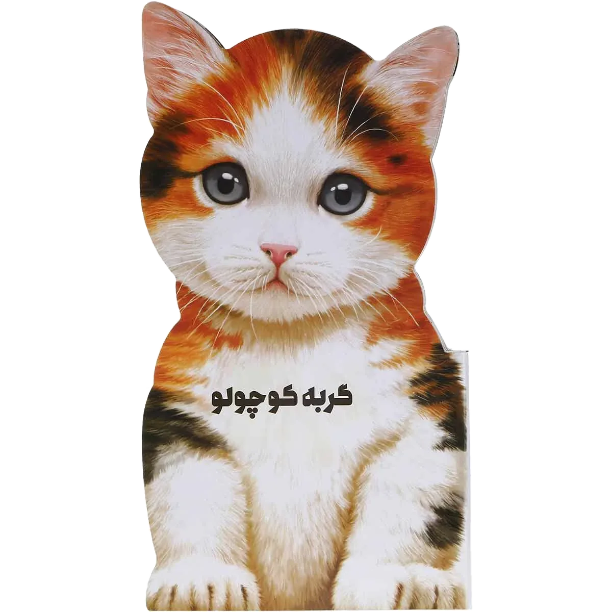 گربه کوچولو مجموعه حیوانات کوچک گاج