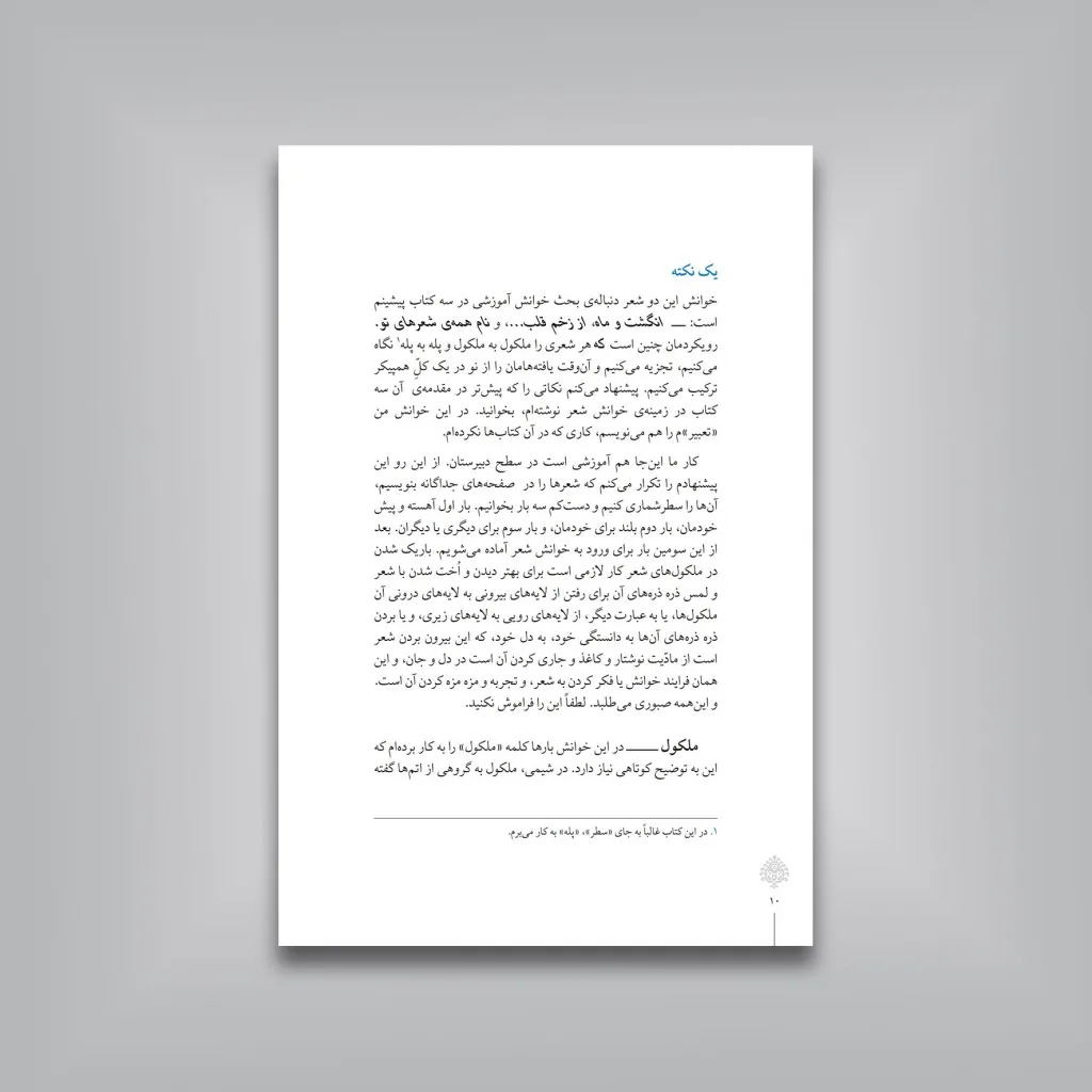کتاب دو خانه دو خاموش گویا | ع. پاشایی | انتشارات — انتشارات یساولی