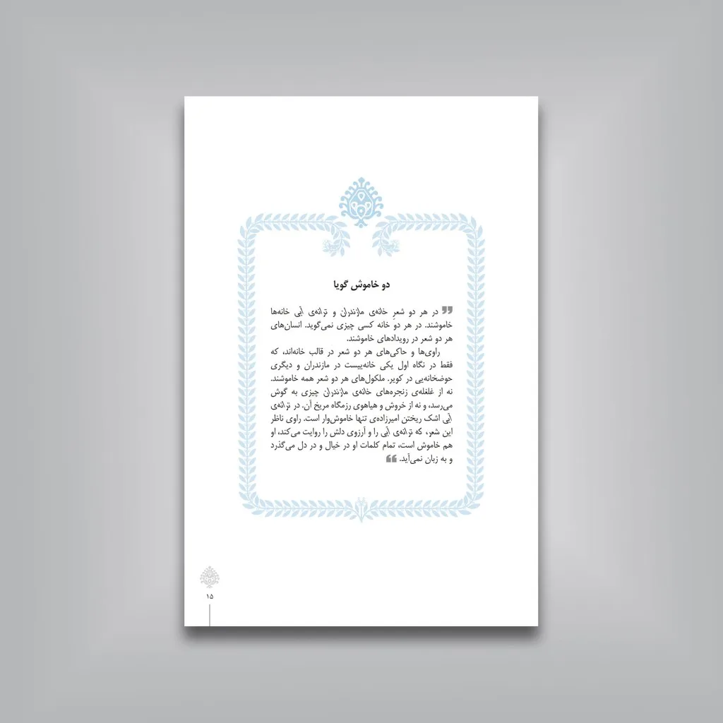 کتاب دو خانه دو خاموش گویا | ع. پاشایی | انتشارات — انتشارات یساولی