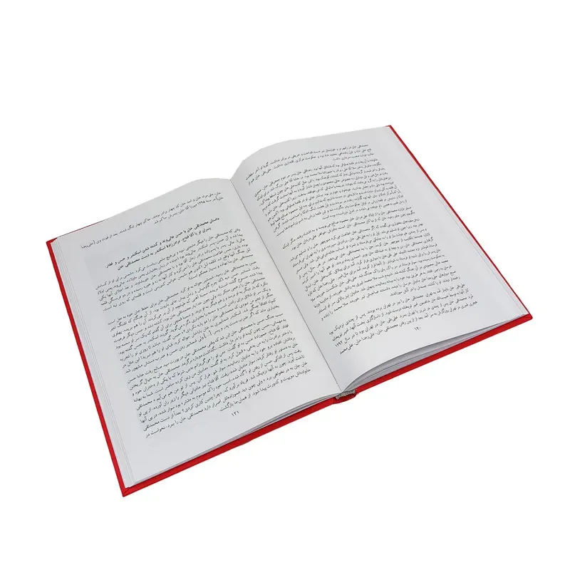 کتاب یادداشت ها و خاطرارت سردار ظفر بختیاری — انتشارات یساولی