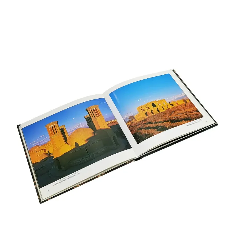 کتاب یزد سرزمین بادگیرها سهیلا مهدیان دهکردی نشر — انتشارات یساولی
