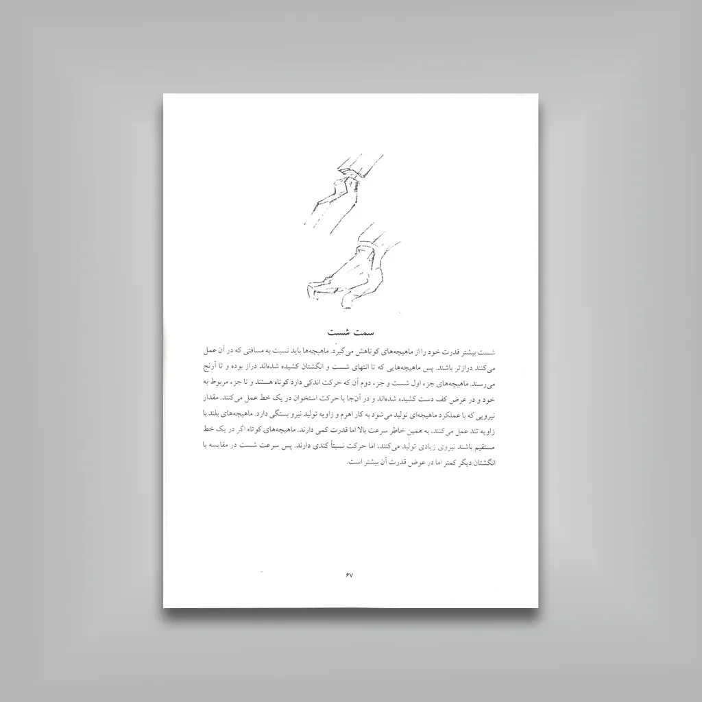 کتاب 100 طراحی از دست | جورج برنت بریجمن | انتشارات — انتشارات یساولی