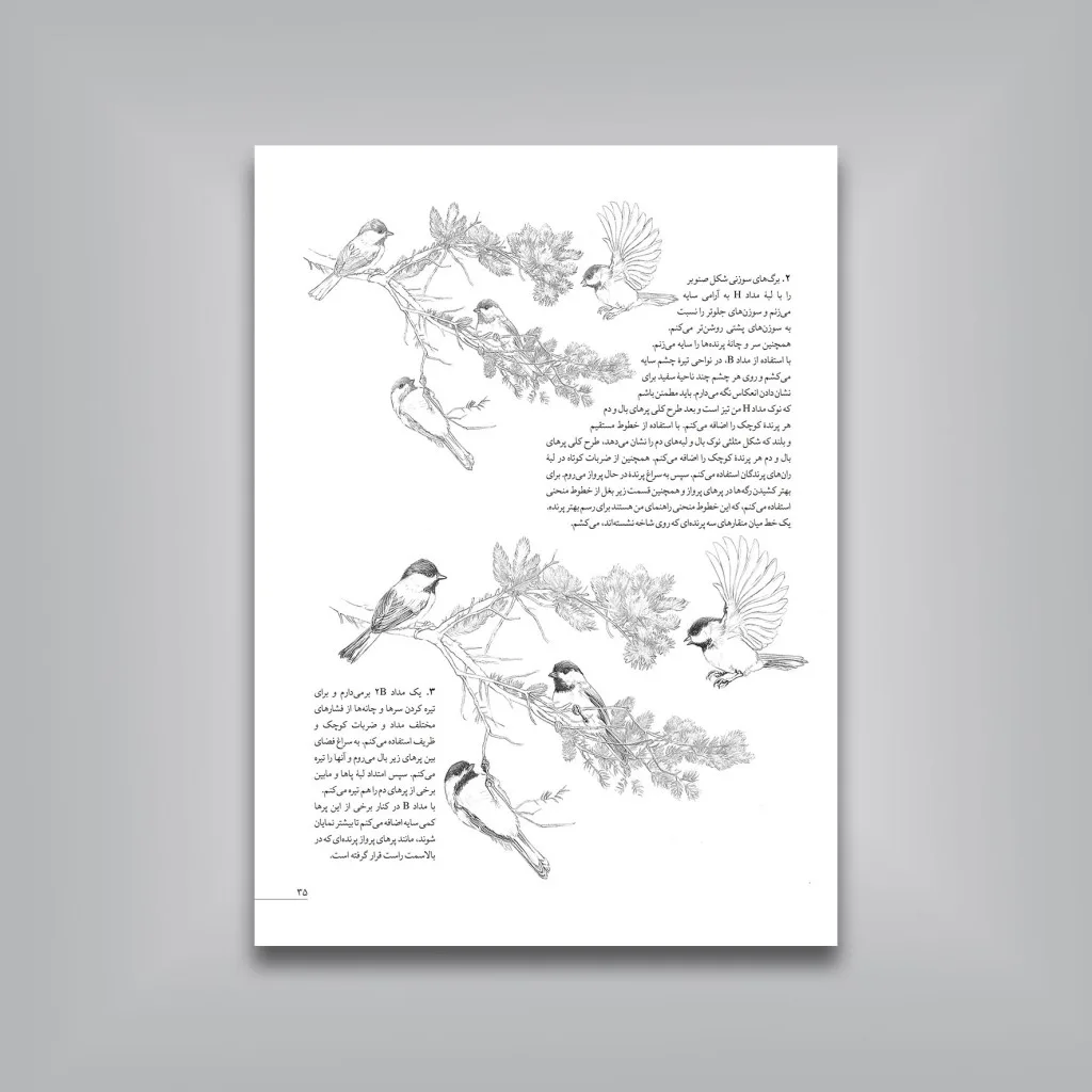 کتاب آموزش گام‌به‌گام طراحی پرندگان | موری آسِنگ — انتشارات یساولی