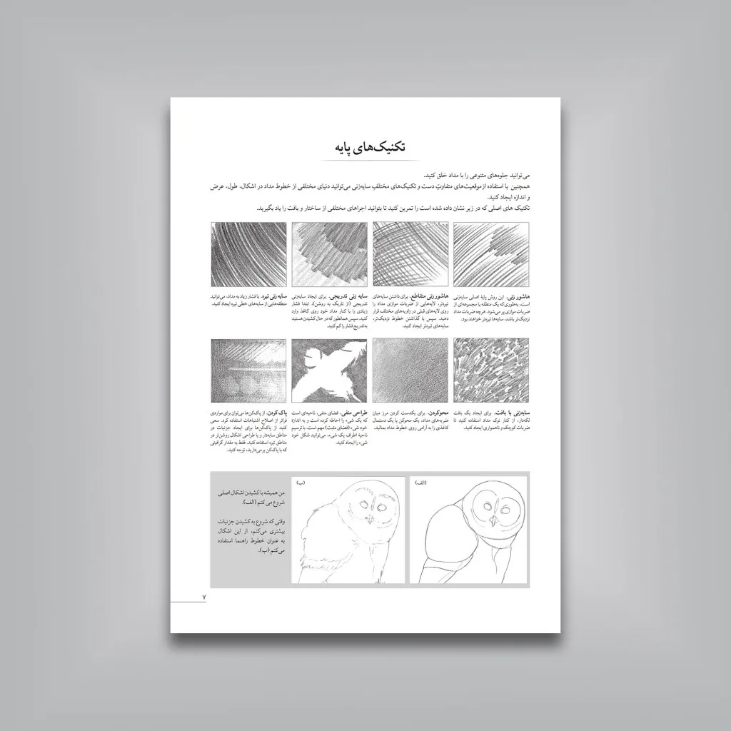کتاب آموزش گام‌به‌گام طراحی پرندگان | موری آسِنگ — انتشارات یساولی