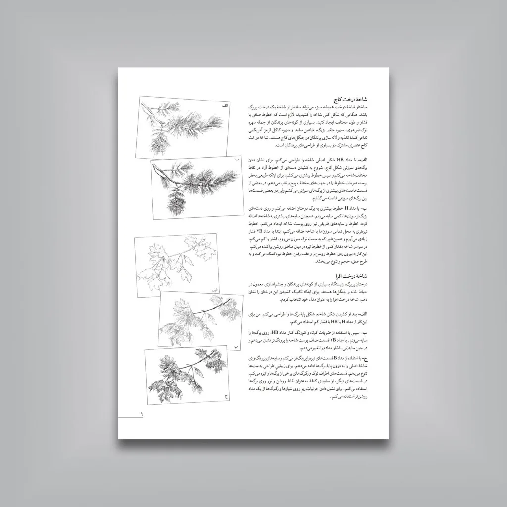 کتاب آموزش گام‌به‌گام طراحی پرندگان | موری آسِنگ — انتشارات یساولی