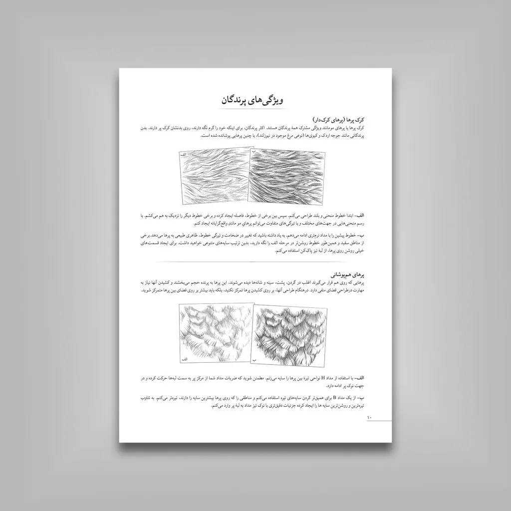 کتاب آموزش گام‌به‌گام طراحی پرندگان | موری آسِنگ — انتشارات یساولی