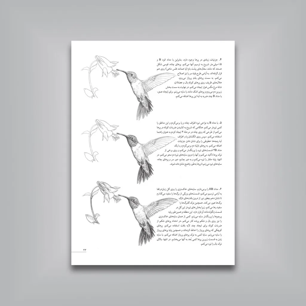 کتاب آموزش گام‌به‌گام طراحی پرندگان | موری آسِنگ — انتشارات یساولی