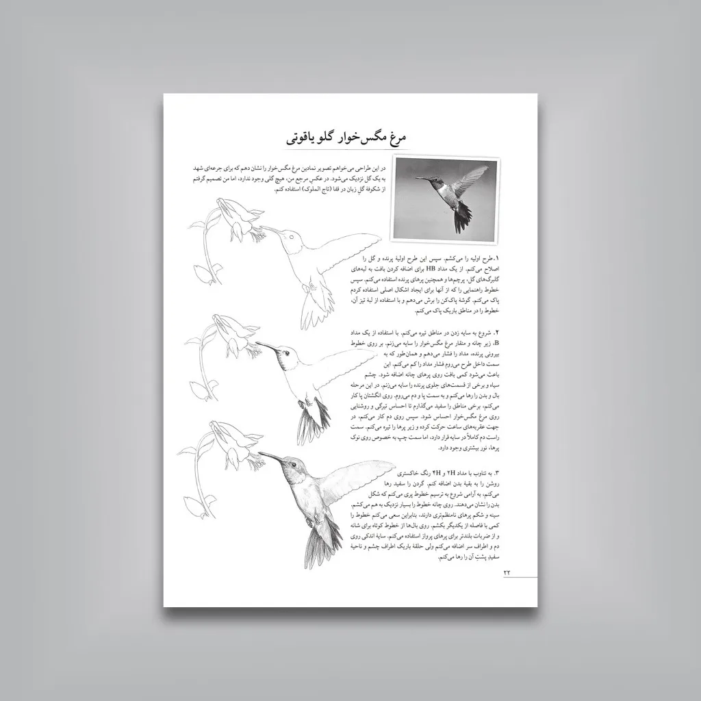 کتاب آموزش گام‌به‌گام طراحی پرندگان | موری آسِنگ — انتشارات یساولی