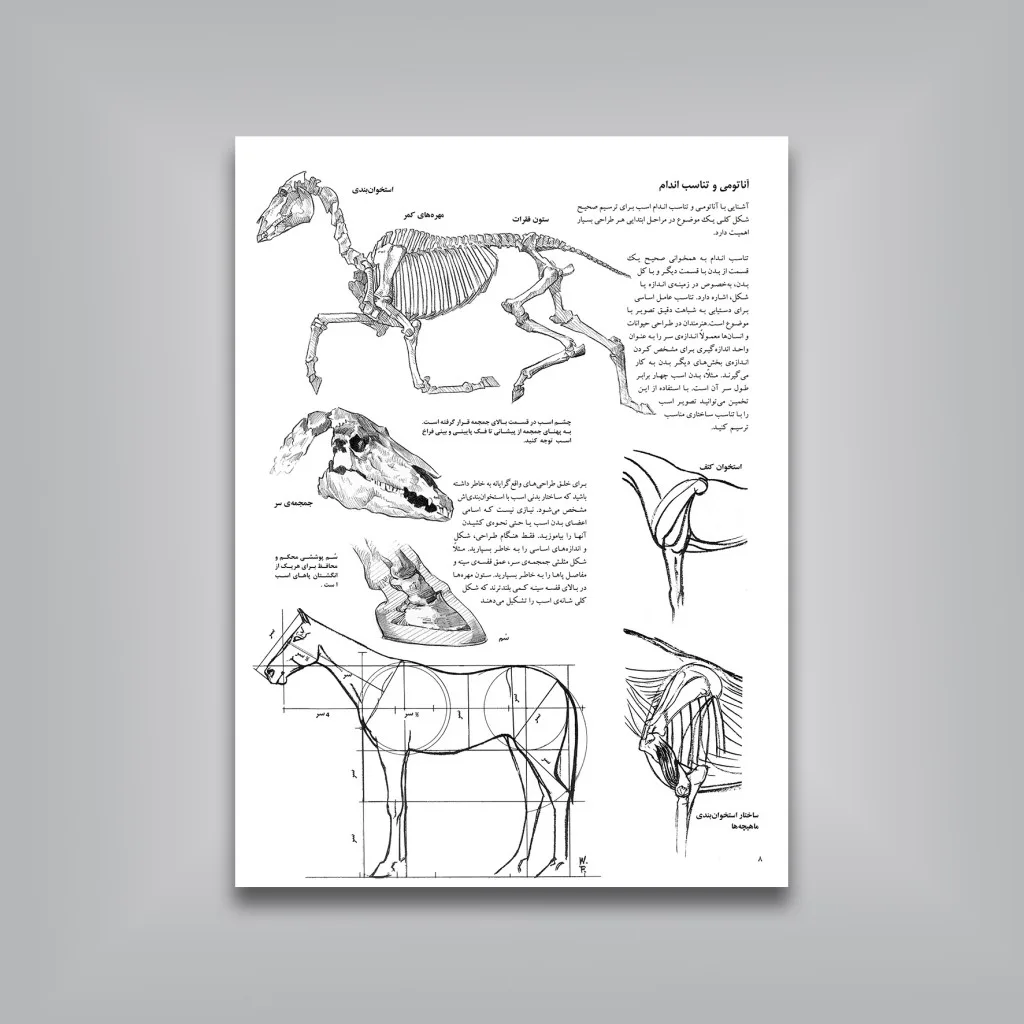 کتاب اسب ها آموزش گام به گام طراحی | والتر فاستر — انتشارات یساولی