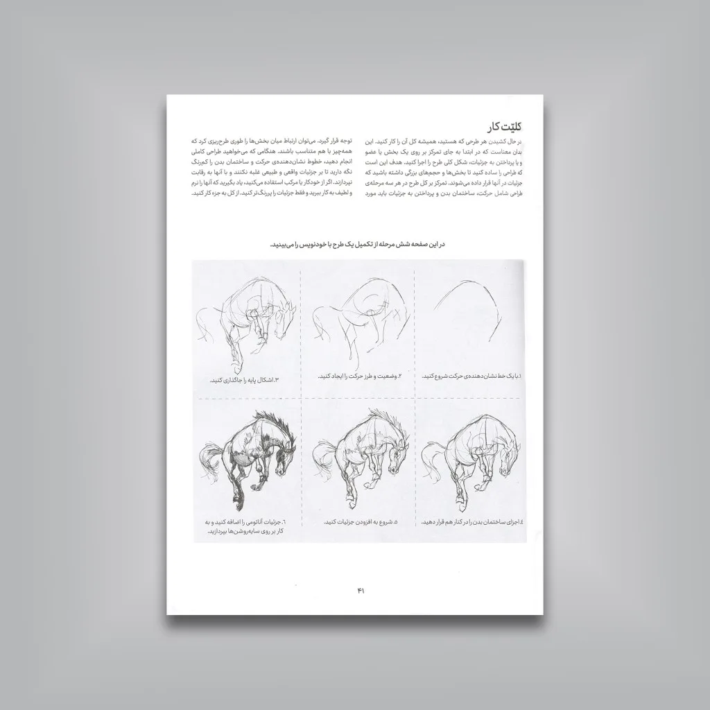 کتاب اصول آموزش طراحی از حیوانات جو ودرلی نشر — انتشارات یساولی