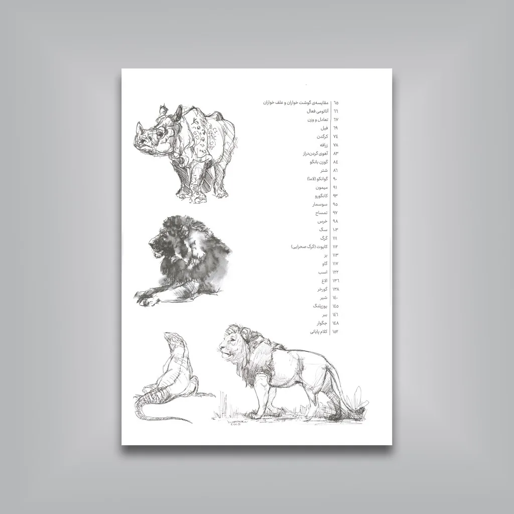 کتاب اصول آموزش طراحی از حیوانات جو ودرلی نشر — انتشارات یساولی