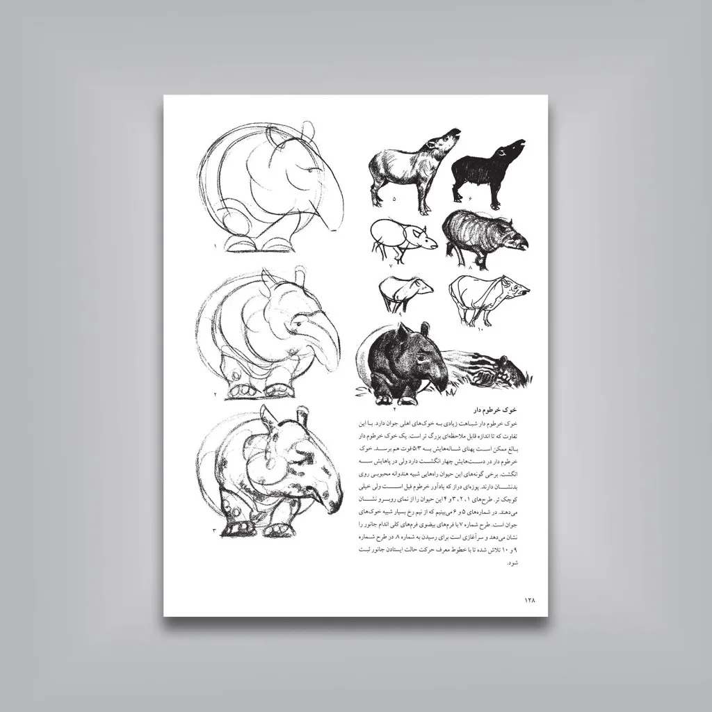 کتاب طراحی از حیوانات | هاگ لیدمن | انتشارات — انتشارات یساولی