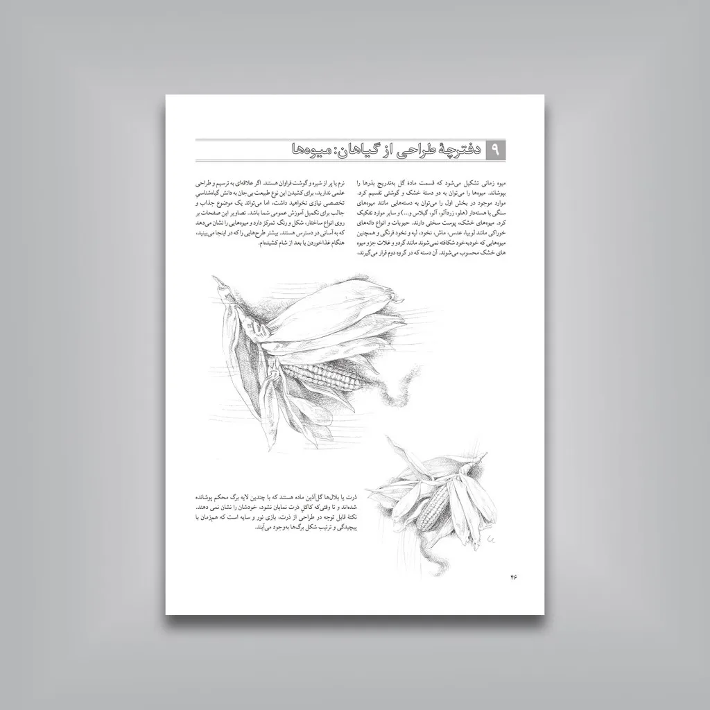 کتاب طراحی ساده از گل ها، میوه ها و سبزیجات | جیووانی سیواردی — انتشارات یساولی