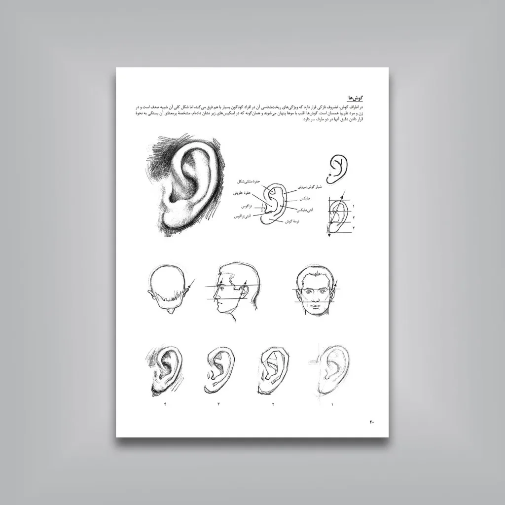 کتاب طراحی پرتره | چهره و پیکره | جیووانی سیواردی — انتشارات یساولی