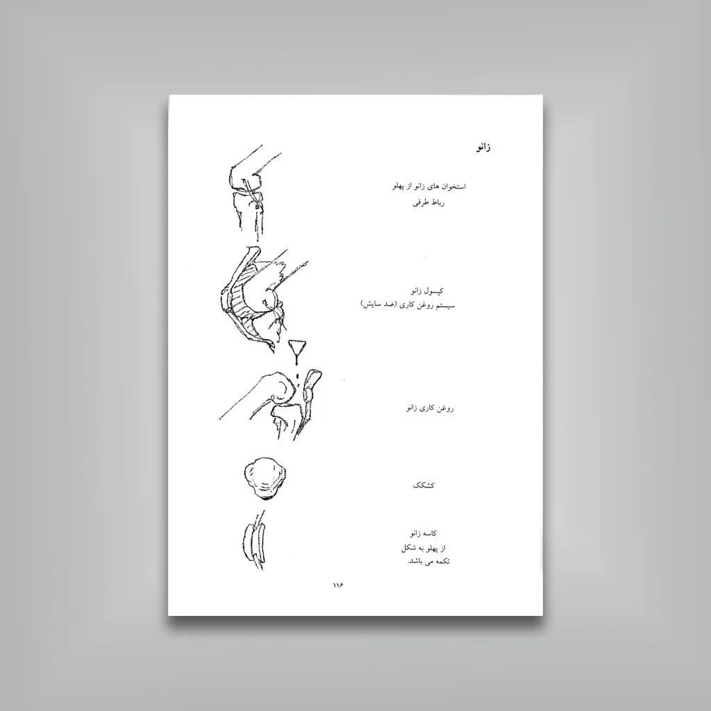 کتاب مکانیسم بدن انسان در طراحی جرج ب. بریجمن نشر — انتشارات یساولی
