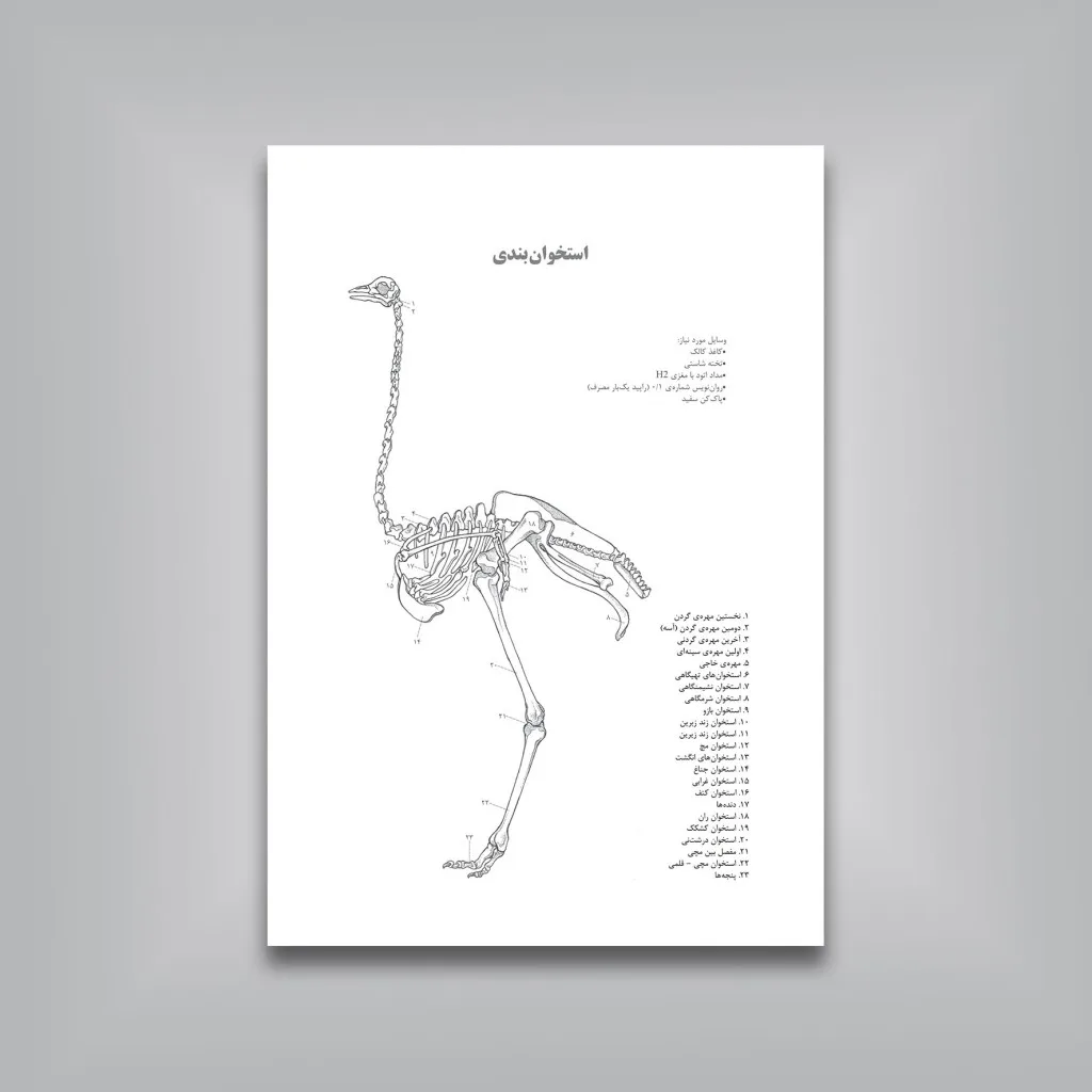 کتاب چگونه از پرندگان طراحی کنیم | بهنام شریفی | نشر — انتشارات یساولی